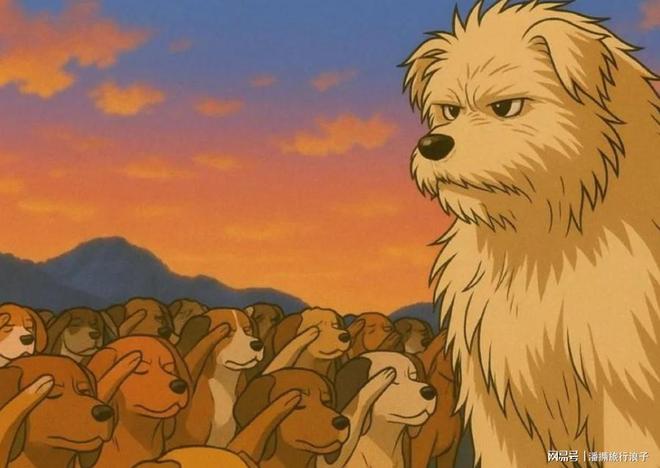 火！身价飙升至10万美元狗主人被扒pg试玩贵州下司犬“查理国王”爆(图3)