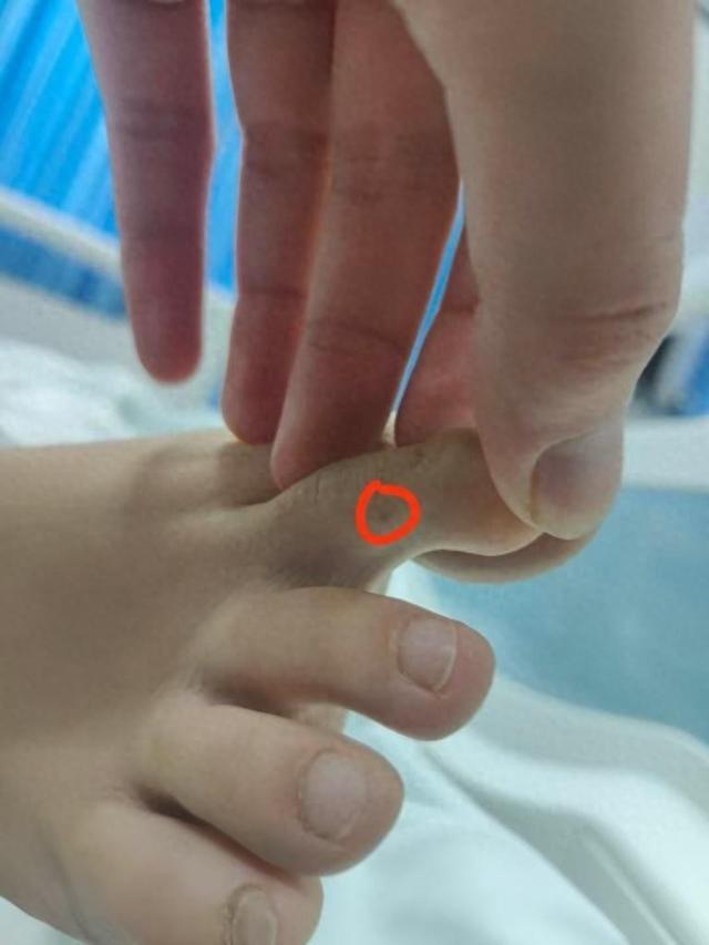 回应质疑：没提任何索赔只希望调查清楚pg电子中国三亚身亡女游客堂姐直播(图1)