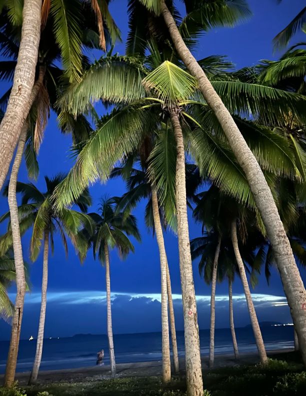 价格一览：最新报价表及费用明细全解析pg